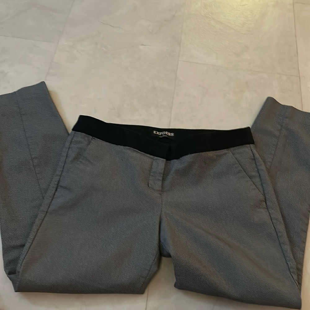 Express Columnist Size 4 Dress Pants